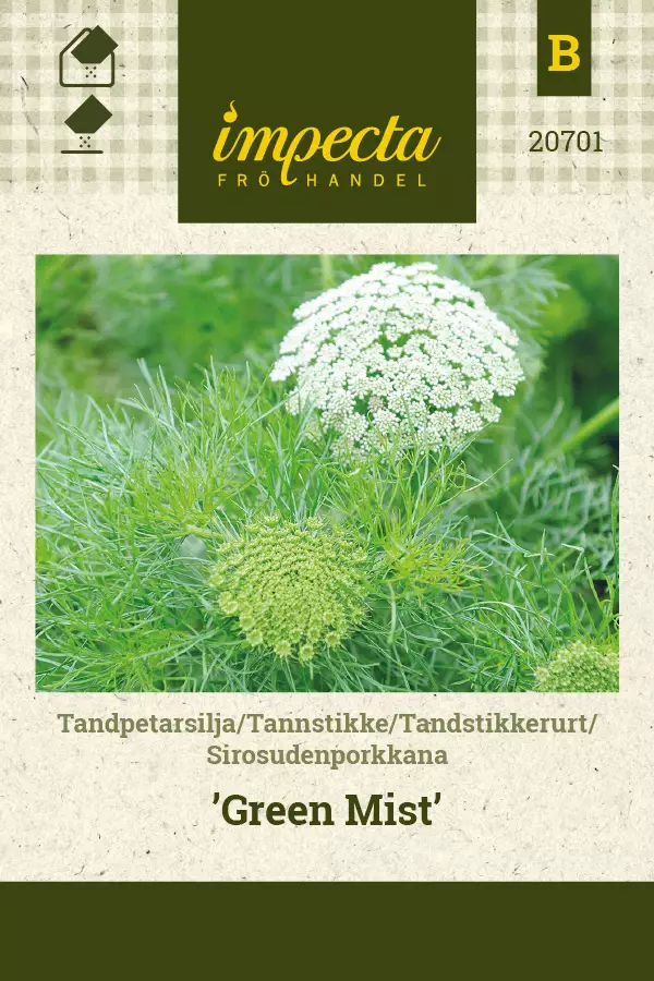 Sirosudenporkkana Green Mist - Kukkien ja koristeheinien siemenet - 7332756207017 - 0