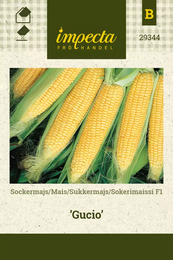 Sokerimaissi F1 Gucio - Vihannesten ja yrttien siemenet - 7332756293447 - 0