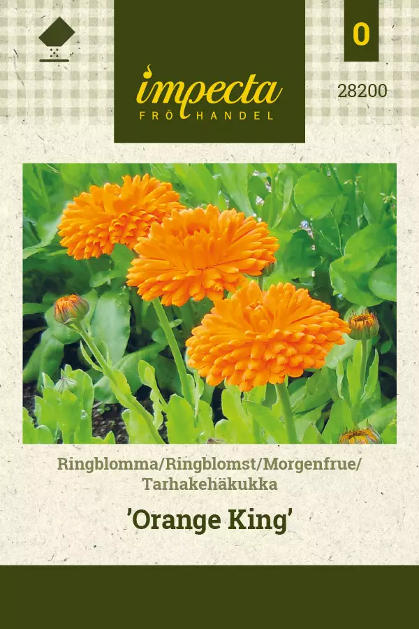 Tarhakehäkukka Orange King - Kukkien ja koristeheinien siemenet - 7332756282007 - 0