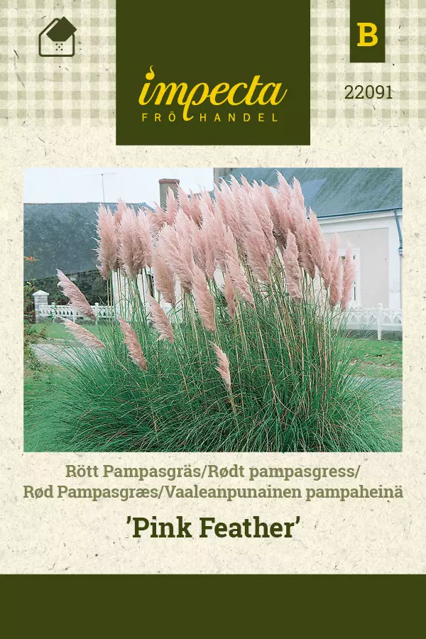 Vaaleanpunainen pampaheinä Pink Feather - Kukkien ja koristeheinien siemenet - 7332756220917 - 0
