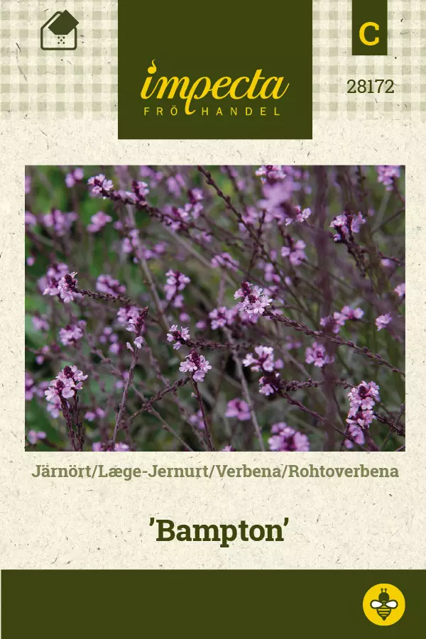 Verbena Bampton - Kukkien ja koristeheinien siemenet - 7332756281727 - 1