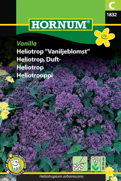 Heliotrooppi Vanilla - Kukkien ja koristeheinien siemenet - 5708787018328 - 0