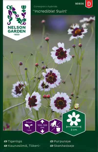 Kaunosilmä, Tiikeri-, Incredible! Swirl - Kukkien ja koristeheinien siemenet - 7312600956568 - 1