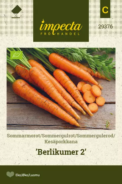 Kesäporkkana Berlikumer 2 - Vihannesten ja yrttien siemenet - 7332756293768 - 0