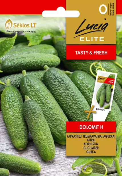 KURKKU ELITE DOLOMIT H - Vihannesten ja yrttien siemenet - 4770168102408 - 0