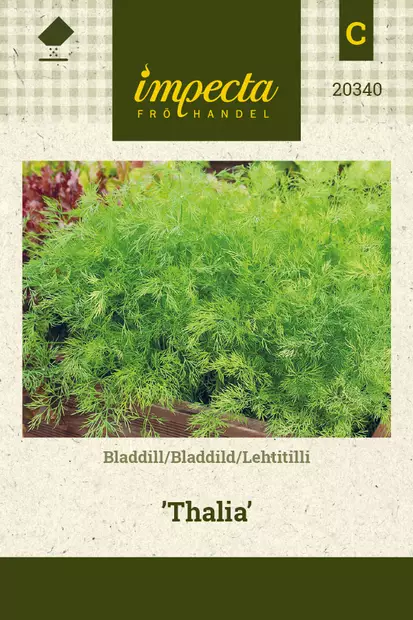 Lehtitilli Thalia - Vihannesten ja yrttien siemenet - 7332756203408 - 0