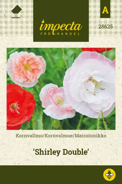 Maissiunikko Shirley Double - Kukkien ja koristeheinien siemenet - 7332756286258 - 0