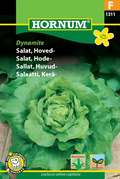 Salaatti, Kerä- Dynamite - Vihannesten ja yrttien siemenet - 5708787013118 - 0