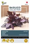 Buzzy Basilico basilika Dark Opal - Kukkien ja koristeheinien siemenet - 8711117809128 - 1