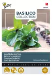 Buzzy Basilico kanelibasilika - Kukkien ja koristeheinien siemenet - 8711117809098 - 1