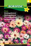 Keskipäivänkukka Noon - Kukkien ja koristeheinien siemenet - 5708787017178 - 0