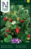 Mansikka, Kuukausi-, Rügen - Vihannesten ja yrttien siemenet - 7312600914018 - 0