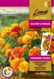 RYHMÄSAMETTIKUKKA ELITE Strawberry Blond - Kukkien ja koristeheinien siemenet - 4770168265448 - 0