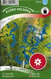 Salvia, Sini-, Blue Angel - Kukkien ja koristeheinien siemenet - 7312600951488 - 1