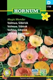 Unikko, Siperian- Magic Wonder - Kukkien ja koristeheinien siemenet - 5708787017598 - 0