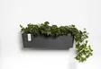 Ecopots Ruukku Manhattan Wall 55 cm - Ecopots ruukut ja lautaset - 5413724313908 - 3