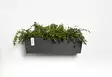 Ecopots Ruukku Manhattan Wall 55 cm - Ecopots ruukut ja lautaset - 5413724313908 - 4