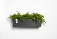 Ecopots Ruukku Manhattan Wall 55 cm - Ecopots ruukut ja lautaset - 5413724313908 - 5