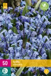 Idänsinililja 50 kpl/pkt - Liljat - 8712438543838 - 2