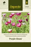 Kaliforniantuliunikko Purple Gleam - Kukkien ja koristeheinien siemenet - 7332756236208 - 0