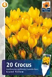 Krookus Grand Yellow 20 kpl/pkt - Sahramit eli krookukset - 8711148314738 - 1