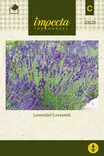 Laventeli - Kukkien ja koristeheinien siemenet - 7332756231258 - 0