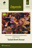 Lehtisalaatti Salad Bowl Rossa - Vihannesten ja yrttien siemenet - 7332756295908 - 0