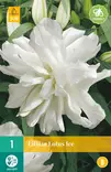 Lilja Lotus Ice 1 kpl/pkt - Liljat - 8712438991738 - 0