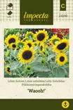 Pikkuauringonkukka Waooh! - Kukkien ja koristeheinien siemenet - 7332756241608 - 0
