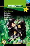 Salkoruusu Dark Beauty - Kukkien ja koristeheinien siemenet - 5708787017468 - 0