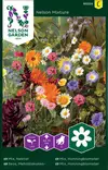 Seos, Mehiläiskukkia- - Kukkien ja koristeheinien siemenet - 7312600932548 - 0