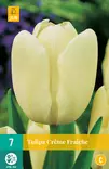 Tulppaani Creme Fraiche 7 kpl/pkt - Tulppaanit - 8712438503078 - 2