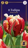Tulppaani Deejay Parrot 6 kpl/pkt - Tulppaanit - 8711148247418 - 1