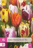 Tulppaani Flaming Beauty Mix 15kpl/pkt - Tulppaanit - 8712438541568 - 2