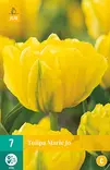 Tulppaani Mariejo 7 kpl/pkt - Tulppaanit - 8712438982408 - 2