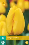 Tulppaani Novi Sun 7 kpl/pkt - Tulppaanit - 8712438504198 - 1