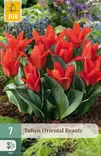 Tulppaani Oriental Beauty 7 kpl/pkt - Tulppaanit - 8712438975028 - 1