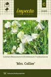Tuoksuherne Mrs. Collier - Kukkien ja koristeheinien siemenet - 7332756284858 - 0