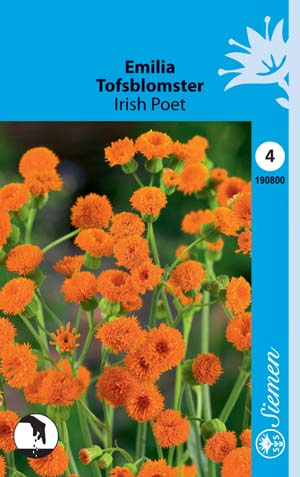 Emilia Irish Poet annos - Kukkien ja koristeheinien siemenet - 6415151908008 - 1
