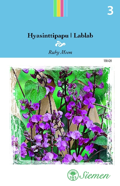 Hyasinttipapu Ruby Moon - Kukkien ja koristeheinien siemenet - 6415151904208 - 1