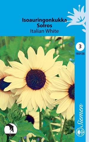 Isoauringonkukka Italian White - Kukkien ja koristeheinien siemenet - 6415151931358 - 1