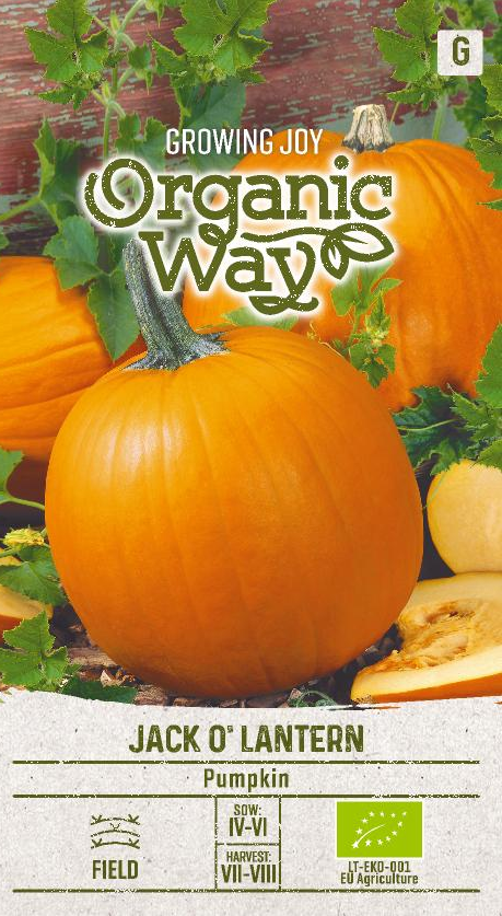 JÄTTIKURPITSA OG JACK O LANTERN - Vihannesten ja yrttien siemenet - 4770168151468 - 0