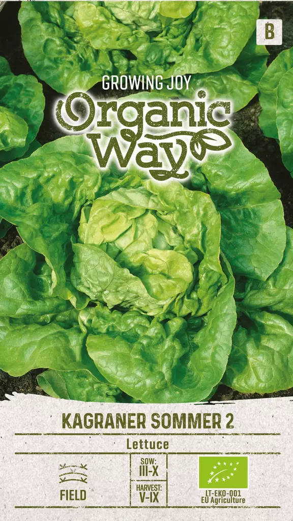 KERÄSALAATTI OG KAGRANER SOMMER 2 - Vihannesten ja yrttien siemenet - 4770168151338 - 0