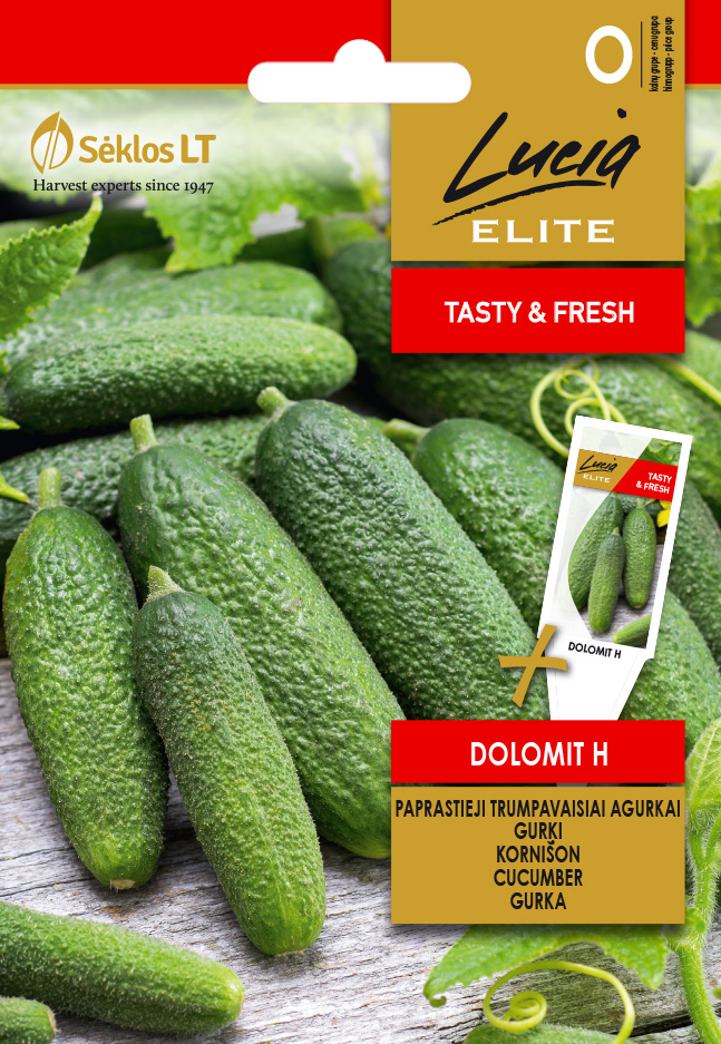 KURKKU ELITE DOLOMIT H - Vihannesten ja yrttien siemenet - 4770168102408 - 0