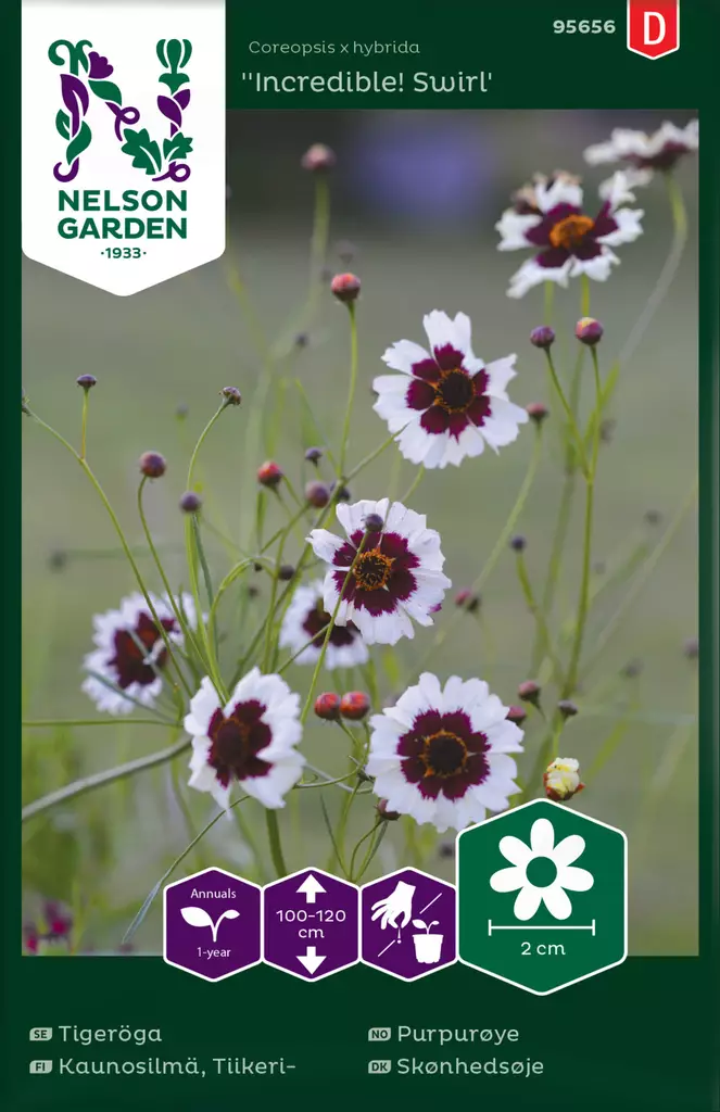 Kaunosilmä, Tiikeri-, Incredible! Swirl - Kukkien ja koristeheinien siemenet - 7312600956568 - 0