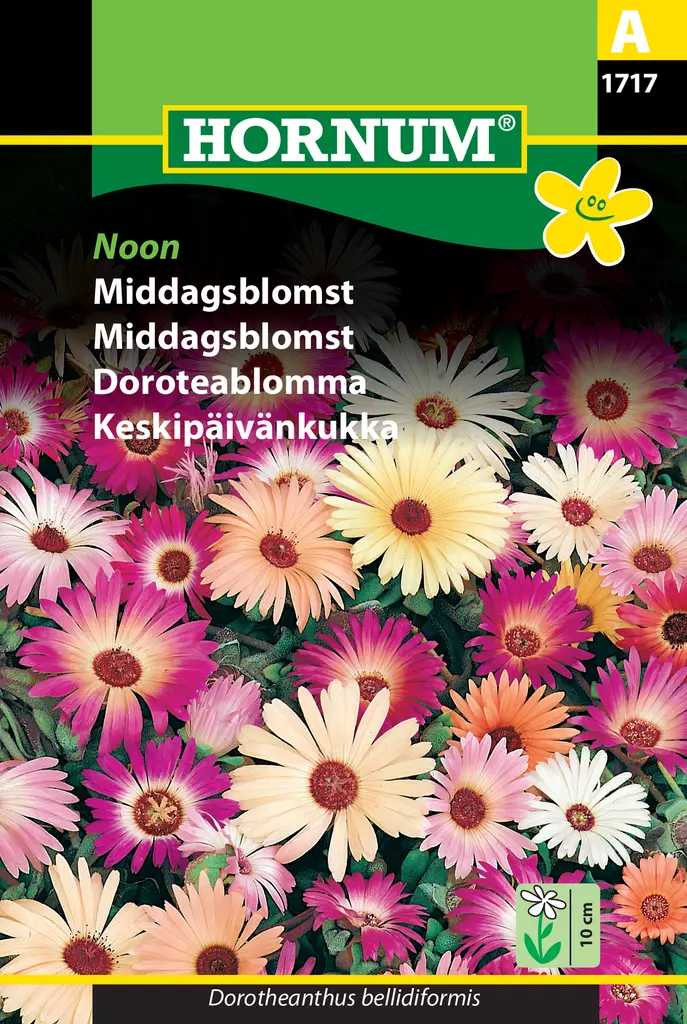 Keskipäivänkukka Noon - Kukkien ja koristeheinien siemenet - 5708787017178 - 0