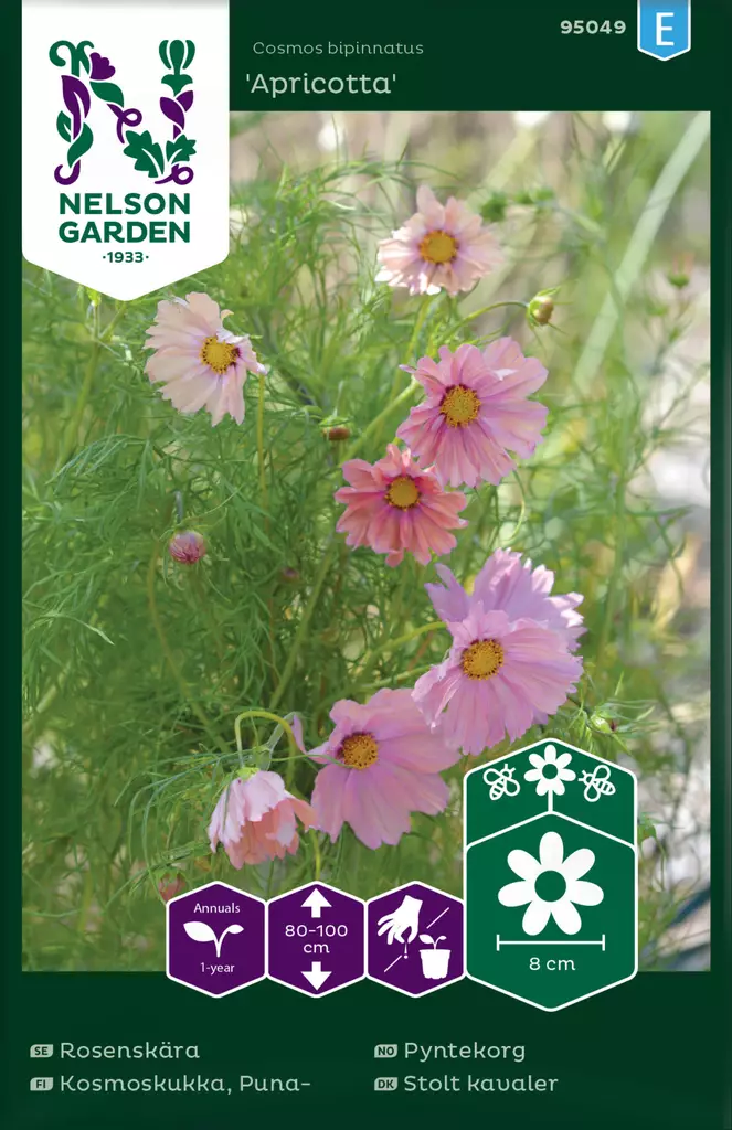 Kosmoskukka, Puna-, Apricotta - Kukkien ja koristeheinien siemenet - 7312600950498 - 0