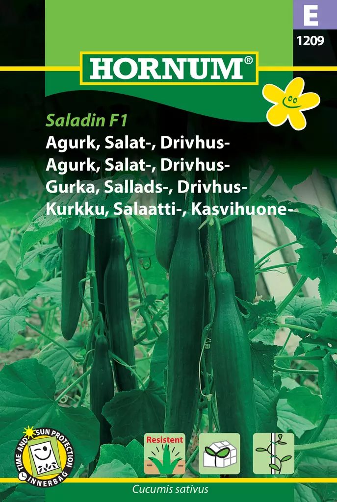 Kurkku, Salaatti-, Kasvihuone- Saladin F - Vihannesten ja yrttien siemenet - 5708787012098 - 0