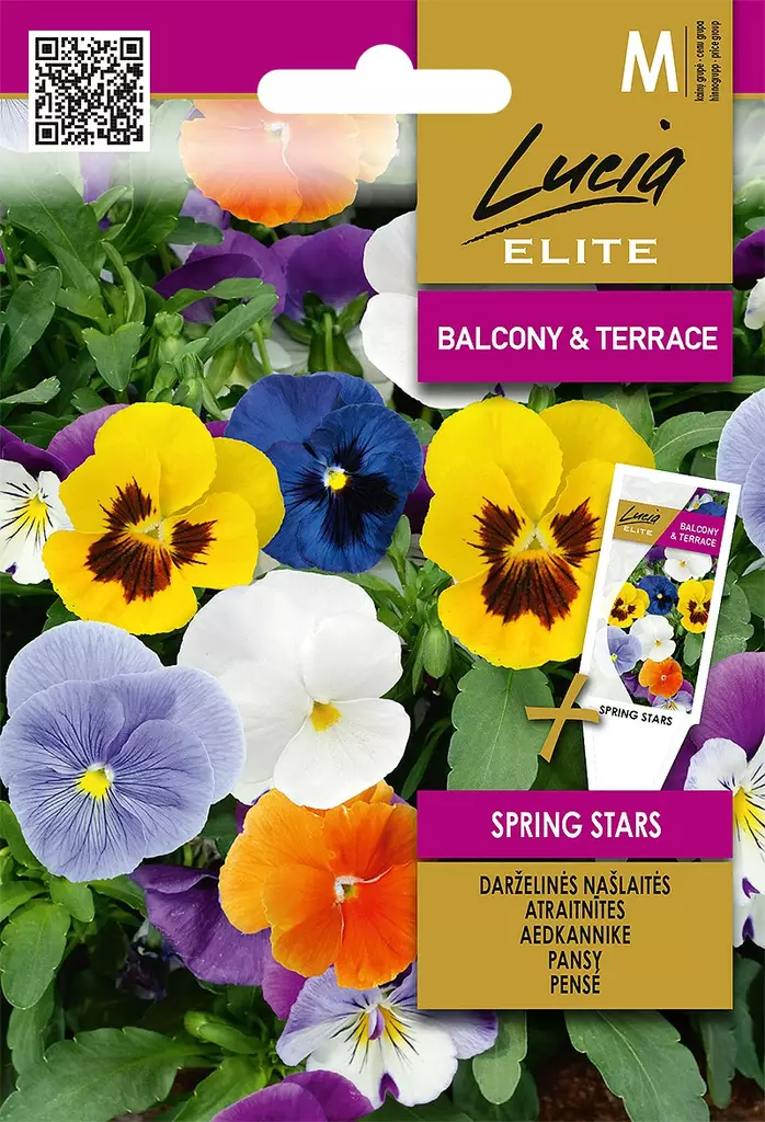 ORVOKKI ELITE SPRING STARS - Kukkien ja koristeheinien siemenet - 4770168920538 - 0