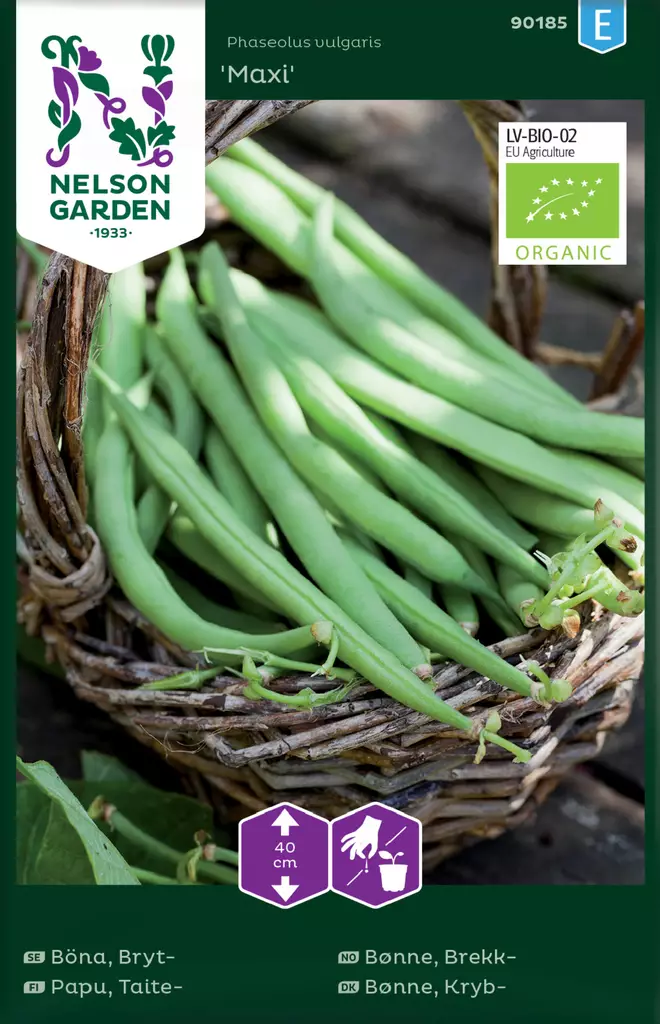 Papu, Taite-, Maxi, Organic - Vihannesten ja yrttien siemenet - 7312600901858 - 0